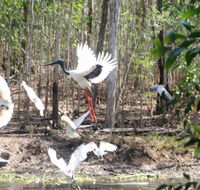 Rakhi Retreat - Accommodation Coffs Harbour