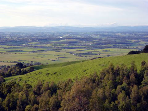 Anderley - Accommodation Coffs Harbour 6