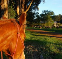 Billa Billa Farm Cottages - Accommodation Coffs Harbour
