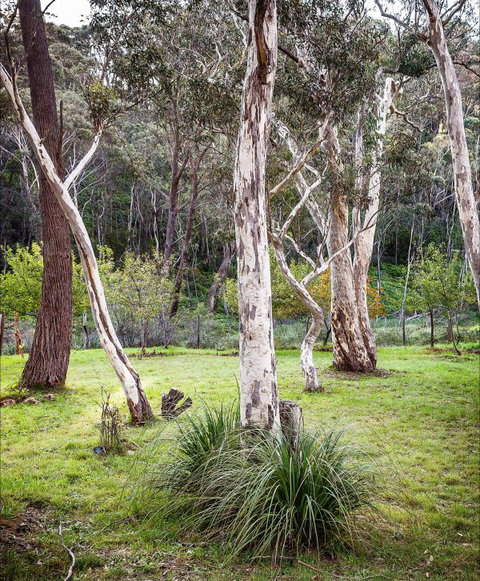 Fifth Ave Katoomba Retreat - Accommodation Coffs Harbour 2