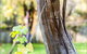 Fifth Ave Katoomba Retreat - thumb 3