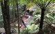 Fifth Ave Katoomba Retreat - thumb 9