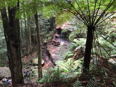Fifth Ave Katoomba Retreat - Accommodation Coffs Harbour 9