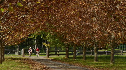 Promised Land Retreat - Accommodation Coffs Harbour 9
