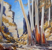 Gallery Blackheath - Accommodation Coffs Harbour