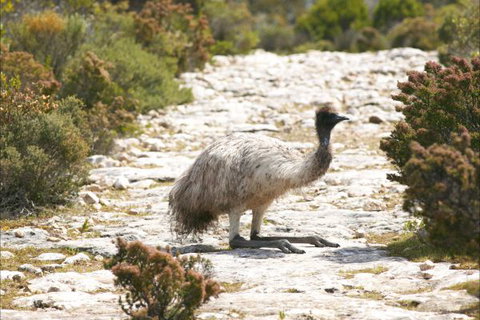 Congo Campground - Accommodation Coffs Harbour 3