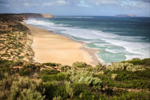 Congo Campground - Accommodation Coffs Harbour 4
