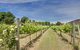 Highton Manor - thumb 9