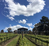 Mortimer's Accommodation amongst the Vines - Accommodation Coffs Harbour