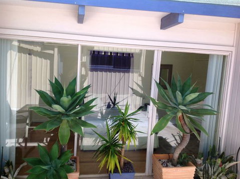 The Beach House - Accommodation Coffs Harbour 8