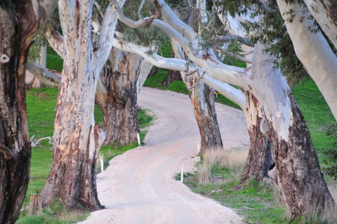 Barrenjoey Hideaway - Accommodation Coffs Harbour 2