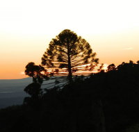 Bunya Mountains Accommodation Centre - Accommodation Coffs Harbour