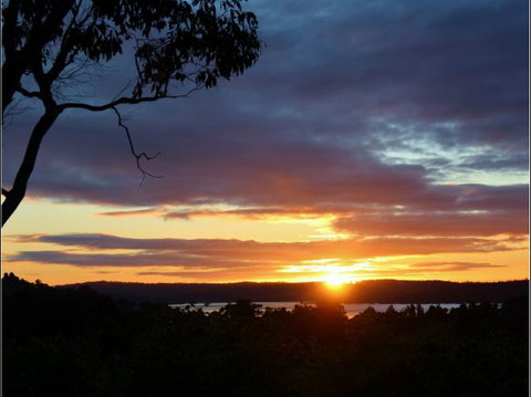 Herons Rise Vineyard Accommodation - Accommodation Coffs Harbour 4