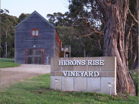 Herons Rise Vineyard Accommodation - Accommodation Coffs Harbour 6