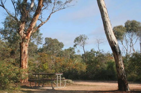 Drummonds Camp At Avon Valley National Park - Accommodation Coffs Harbour 0