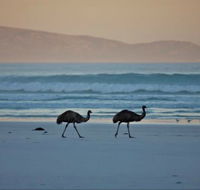 Thomas River Shire Reserve Camp at Cape Arid National Park - Accommodation Coffs Harbour