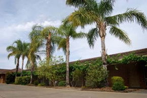 Darling Junction Motel - Accommodation Coffs Harbour 2