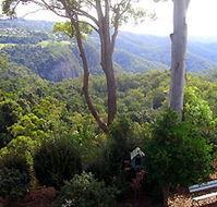 Mt Tamborine Motel - Accommodation Coffs Harbour