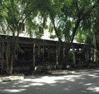 Parrotfish Backpackers - Accommodation Coffs Harbour