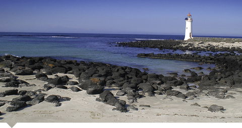 Oscars Waterfront Boutique Hotel - Accommodation Coffs Harbour 3