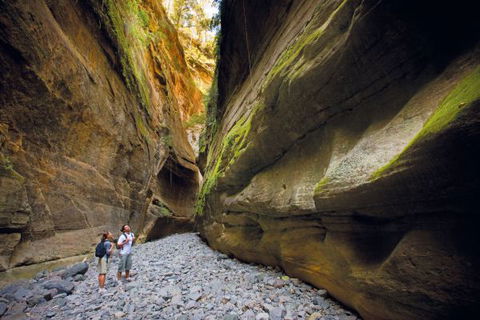 Carnarvon National Park Camping - Accommodation Coffs Harbour 4