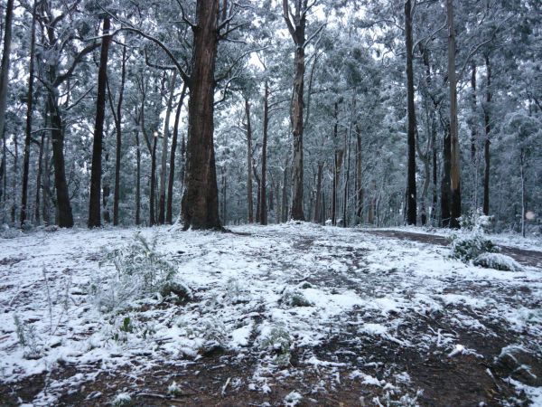 Fumina South VIC Accommodation Coffs Harbour