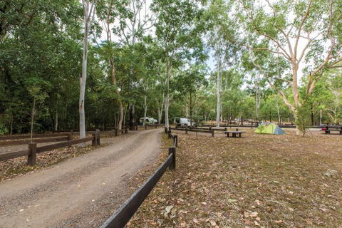 Carnarvon National Park Camping - Accommodation Coffs Harbour 1