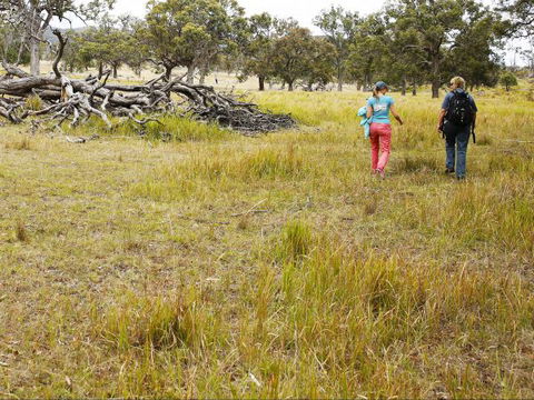 Carnarvon National Park Camping - Accommodation Coffs Harbour 0