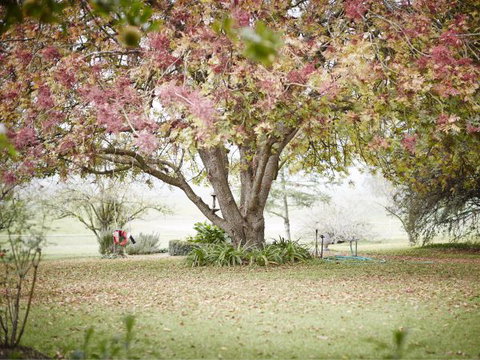 WillOaks B&B - Accommodation Coffs Harbour 8