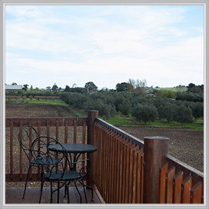 Wine Diva Tours - Accommodation Coffs Harbour 4