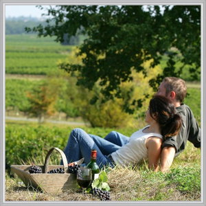 Wine Diva Tours - Accommodation Coffs Harbour 9