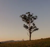 Faulls Ridge Winery - Accommodation Coffs Harbour