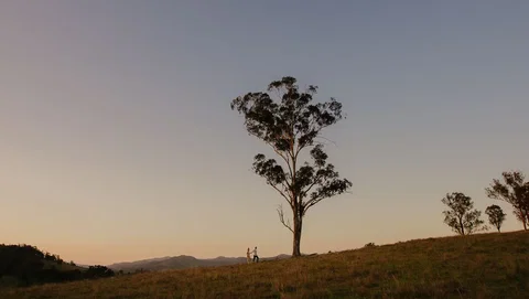 Faulls Ridge Winery - Accommodation Coffs Harbour 0