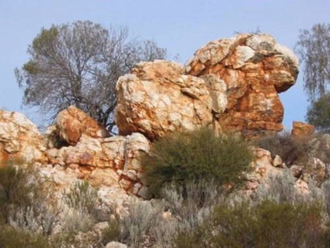 Credo Homestead Camp At Credo Conservation Park - Accommodation Coffs Harbour 0