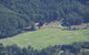 55 Acres Retreat - thumb 5