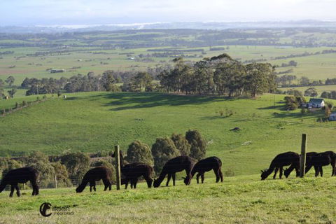 Clifden Cottage - Accommodation Coffs Harbour 7
