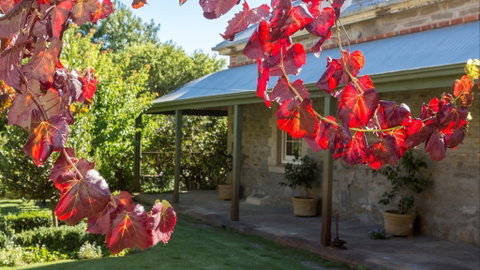 Grand Cru Estate Homestead - Accommodation Coffs Harbour 0