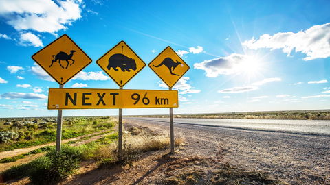 Nullarbor Roadhouse - Accommodation Coffs Harbour 2