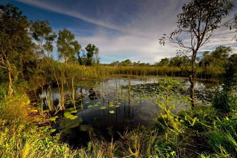 Banana Well Getaway - Accommodation Coffs Harbour 5