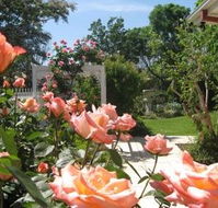 The Clarenton - Accommodation Coffs Harbour