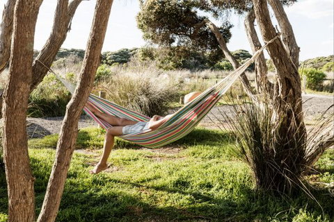 Anglesea Family Caravan Park - Accommodation Coffs Harbour 1