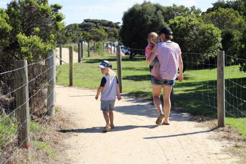Anglesea Family Caravan Park - Accommodation Coffs Harbour 4