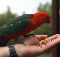 Barrington Tops Escapes - Accommodation Coffs Harbour