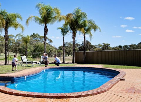 Barmera Country Club Motor Inn - Accommodation Coffs Harbour 3