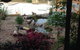 BellbirdHill Bed And Breakfast - thumb 8