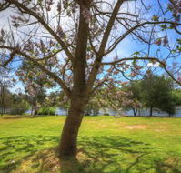 Breakaway Twin Rivers Caravan Park - Accommodation Coffs Harbour