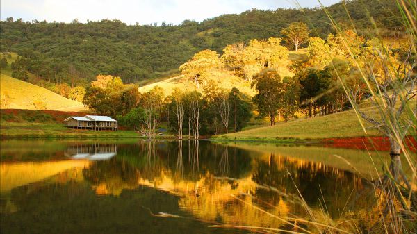 Ogunbil NSW Accommodation Coffs Harbour