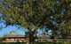 Cairnsmore Bed And Breakfast - thumb 7