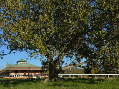 Cairnsmore Bed And Breakfast - Accommodation Coffs Harbour 7