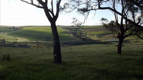 Dragonfly Cottages - Accommodation Coffs Harbour 2